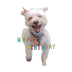 I love QQ PiPi Ball Poko