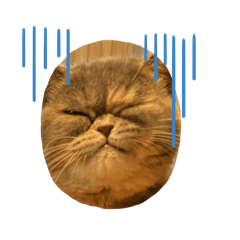 絶望猫のスタンプ①