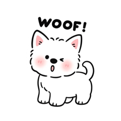 Fluffy white puppy (1)