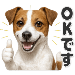 【敬語】使いやすいジャックラッセルテリア