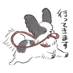 毎日パピヨンまみれ！①