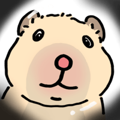 Close-Up Hamster 2