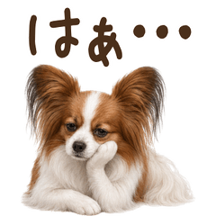 ネガティブ◆ パピヨン