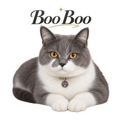 BigBooBoo