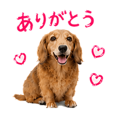 cocowan6