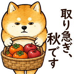ずっと使える気ままな秋｜柴犬のゆるい日常