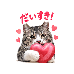 おしゃべり猫の気持ちと応援
