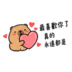 Clingy Capybara in Love