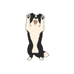 動く！ボーダーコリー（文字なし）