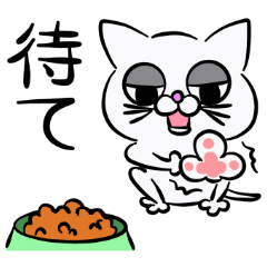 だる猫‐次郎‐ 2