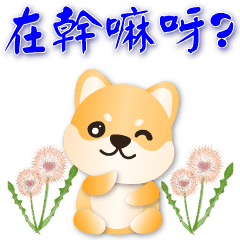 Commonly used sticker-cute Shiba