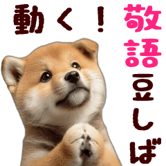 動く！優しい敬語のまめしば