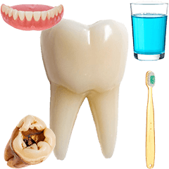 歯　歯科器具　実写