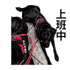 123hahaha_20251026114559