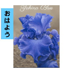 ふと漏らした言葉