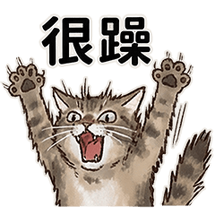 mymysisters:Let's chat!