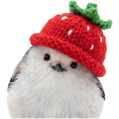 いちごなシマエナガ