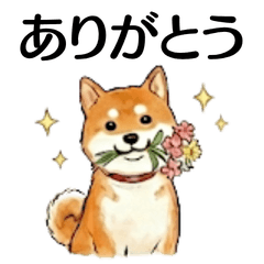 -犬と休日- 開業記念（柴犬①）