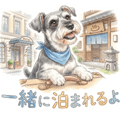 愛犬情報共有用・シュナウザー(塩&胡椒)