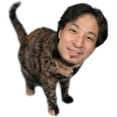 ねこゆき！