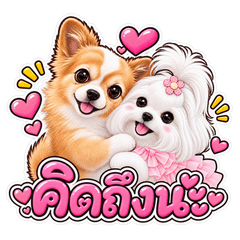 Taro & Mali: Cute & Cheeky