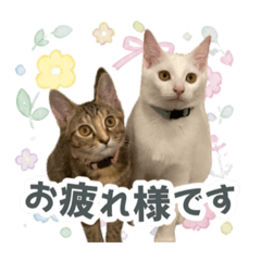 小豆・大福
