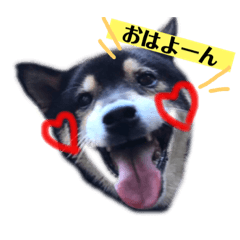 愛犬ゴエとありすの♡三河弁スタンプ