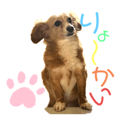 我が家の愛犬ラテちゃんスタンプ