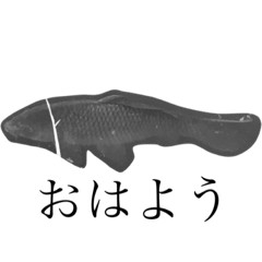 しゃべる魚