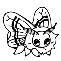 Fluffy silk moth!