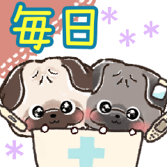 愛犬★パグdeごあいさつ【毎日】