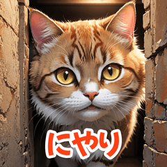 気まぐれ表情ネコで癒される