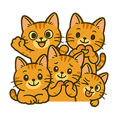 Mimi Daily Life-2025