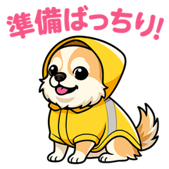 チワワとシェルティの日常スタンプ 2