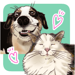 モカとこたけの年中使えるスタンプ！