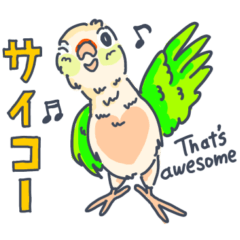 ウロコインコの日常で使えるスタンプ