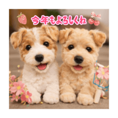 ハッピーテリアの2026だよお正月