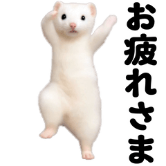 踊る！イイズナ