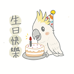 Parrot Companion - Everyday Life