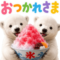 飛び出す♡夏のシロクマ