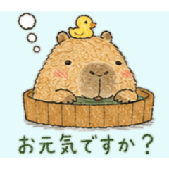 ずっと使えるユルいカピバラの日常４