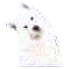 【低画質】サモエド