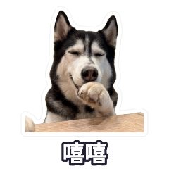 bobo one day