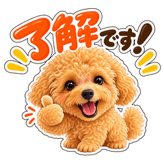 かわいいプードルとの毎日