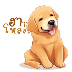 Golden (The adorable pup)