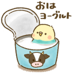 インコ、鳥さんいっぱい【ダジャレ】