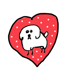 タイニープードルのマルコ