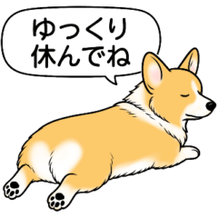 コーギー(しっぽなし＋レッド＆ホワイト)