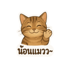 Nina-SaFN_20250607170543