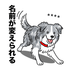 名前入りボーダーコリーブルーマール